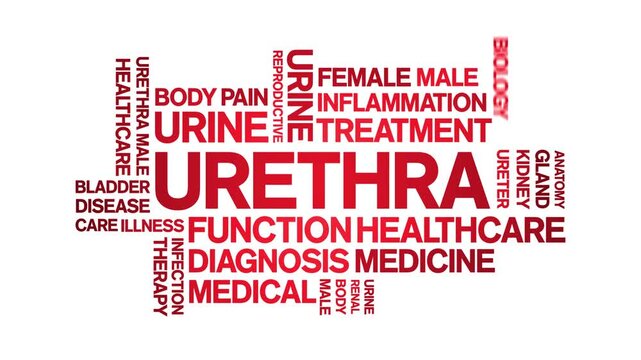 Urethra animated word cloud-text design animation tag kinetic typography seamless loop.
