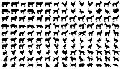 Livestock and Poultry Silhouette Collection with Farm and Domestic Animal Icons © MstMomena