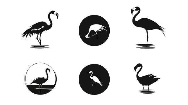 Collection of stylized flamingo illustrations, showcasing diverse poses in both circles and standing