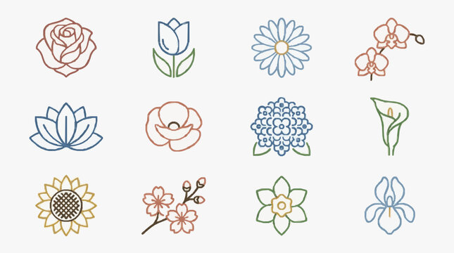 Professional Minimalist Line Drawing Collection of 12 Beautiful Flowers and Botanicals in Various Colors for Designers and Artists