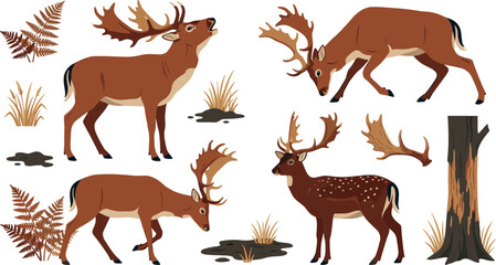 Fallow Deer Stag Vector Set with Large Antlers, Roaring, Grazing, and Spotted Fawn Poses, Fern Leaves, and Autumn Tree Trunk Elements for Forest Wildlife Designs © tanjina