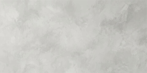 Fototapeta premium Abstract White and Gray Texture: A delicate and ethereal abstract texture in soft whites and grays, resembling clouds or marble, offering a minimalist and calming visual background.