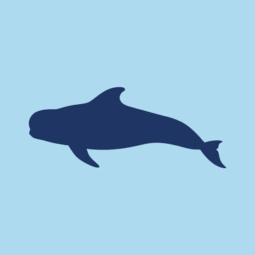 Dark blue silhouette of a pilot whale on light blue