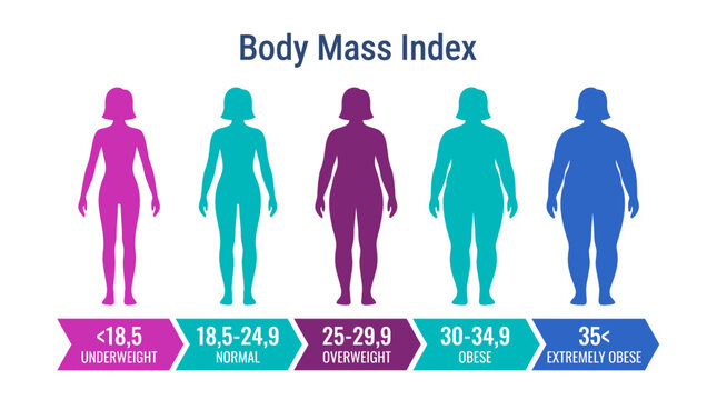 Body Mass Index chart displaying five female body types with varying BMI ranges, illustrating health metrics and providing visual guidance for weight classification