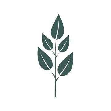 Minimalist Leaf Branch Vector Icon