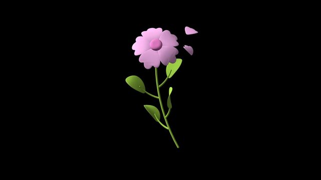 Purple soft rose moving rotation on transparent background