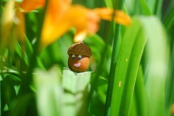 Cartoon character - Srrraja acorn walking on her flowerbed © Rainbow7