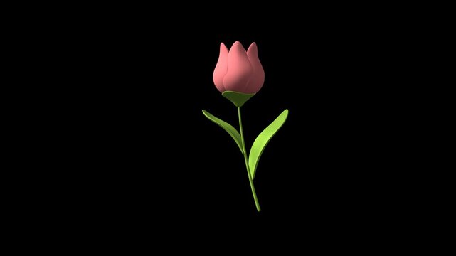 Pink flower moving loop rotation on transparent background