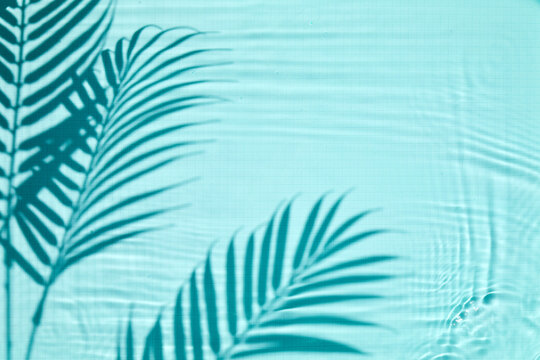 Palm leaves shadow creating ripples on blue water