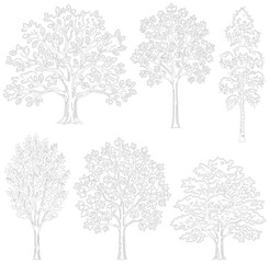 Fototapeta premium Minimalist tree line art collection, set of 6 deciduous and evergreen tree silhouettes, hand drawn botanical vector sketches for landscape design