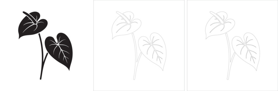 Detailed anthurium plant drawing with veins isolated vector illustration in silhouette and line art styles.