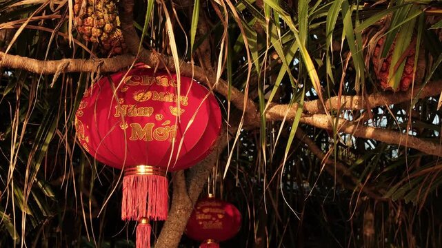Traditional silk decorations with golden calligraphy text dangle from wild coastal branches during a bright sunny day at the beach.