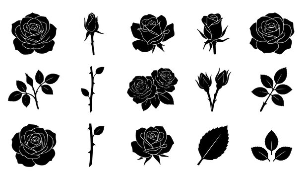 Black rose silhouettes set, elegant rose flowers, buds and leaves vector icons isolated on white background