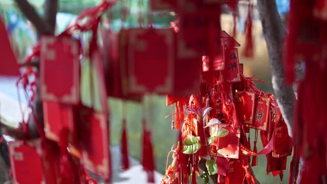 Red wish cards with tassels dangle from tree branches, creating a vibrant display in Zhouzhuang. Perfect for cultural or travel-themed projects.