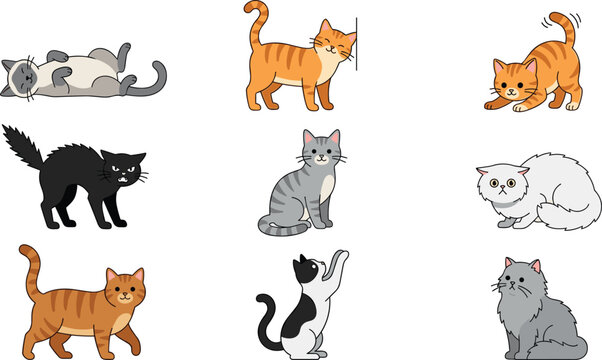 Cute cats behavior and various feline breeds flat vector illustration set featuring orange tabby, siamese, black cat arching back, persian, and grey kitten characters.