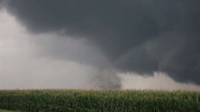 A tornado throws dirt and debris through the air over a cornfield in Illinois.