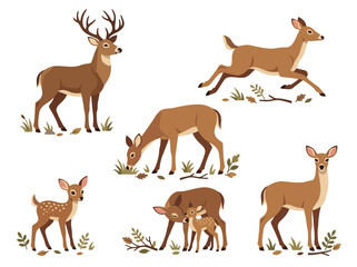 Obraz premium A collection of various deer in different poses and life stages.