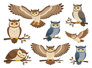 Obraz premium A collection of diverse cartoon owls in various poses and flight positions.
