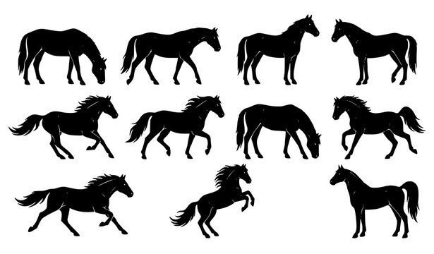 Western Mustang Horse Side View Black Silhouette Vector Collection for Nature and Ranch Design
