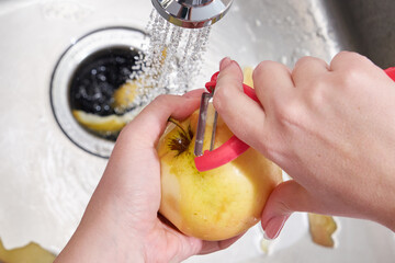 Cropped view of female hands peeling apple over Food waste disposer machine © Maria