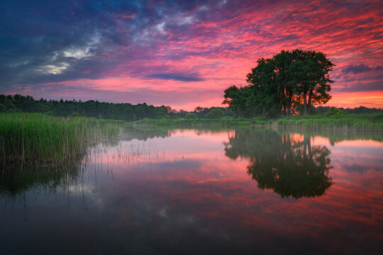 Beautiful summer sunset over the lake