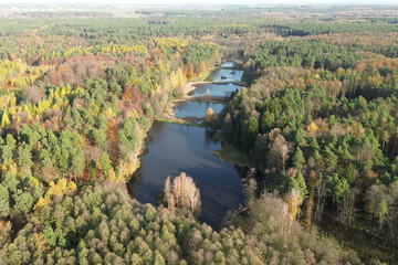 Fototapeta premium Fall season aerial view of forest and reservoir