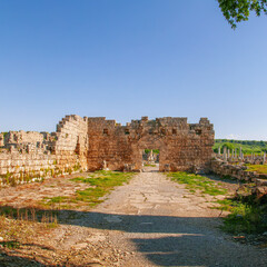 Fototapeta premium A scenic view of the ancient stone ruins and arched gateway at the historic site of Perge in Antalya, Turkey, under a clear blue sky.