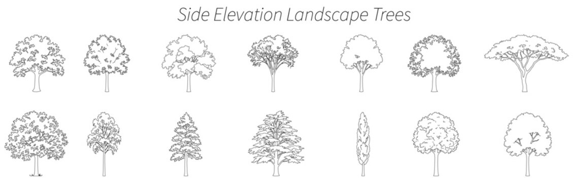 Architectural Tree CAD Blocks Collection Side Elevation Landscape Trees for Site Plans, Landscape Design and Architecture Drawings
