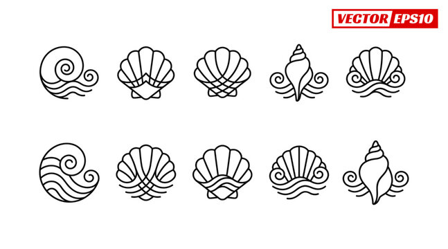 Collection of various seashell and conch shell line art illustrations.