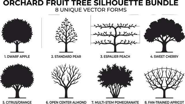 Orchard fruit tree silhouette vector bundle featuring apple pear peach cherry citrus almond pomegranate and apricot shapes in image_ae82ca.png