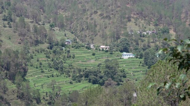 Scenic terraced farming fields in a remote Himalayan mountain village