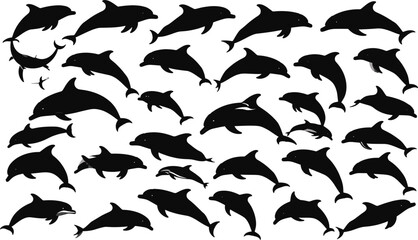 Black Dolphin Silhouette Vector Collection Set Isolated On White Background © Moksedul