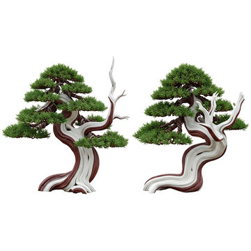 Two realistic 3D rendered bonsai trees featuring twisted brown and white trunks with vibrant green foliage, isolated on a transparent background