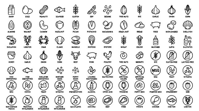 Food allergen ingredients and dietary warning line icon set vector bundle featuring dairy nut gluten seafood and meat symbols