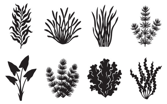 Underwater plants and seaweed silhouettes set, aquarium marine flora vector illustration