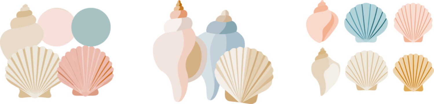 A minimalist seaside seashell collection in soft pastel hues features a smooth conch and scallop shells, arranged neatly with clean geometric shapes on a minimalistic background