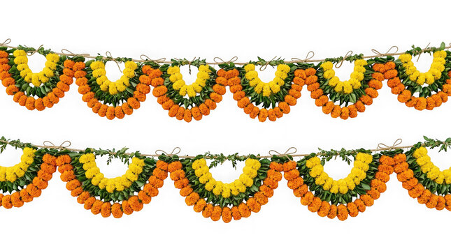 Traditional indian marigold flower toran garland isolated on transparent background