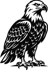 Fototapeta premium Black Eagle Bird Mascot Illustration with Detailed Feathers Vector Design