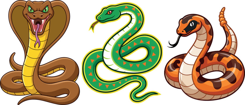 Cartoon Snake Character Set with Cobra Python and Rattlesnake