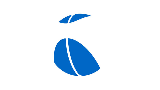 Nicaragua basketball flag, color vector illustration