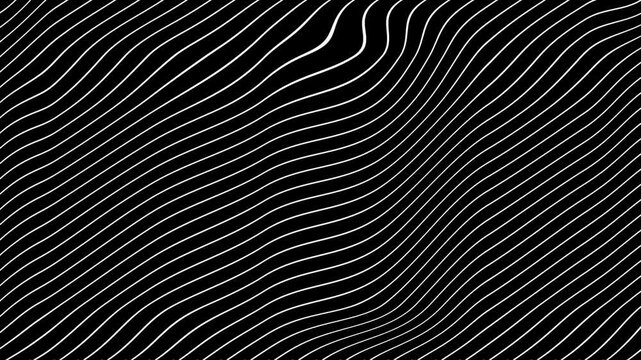 White Grey abstract curved wavy lines twist motion on black background.Visual white wavy line on black motion background.Minimal abstract thin white color wavy line moving background.