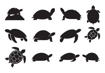 Turtle and Tortoise Silhouettes Vector Set – Sea Turtle and Reptile Icons © Toufik