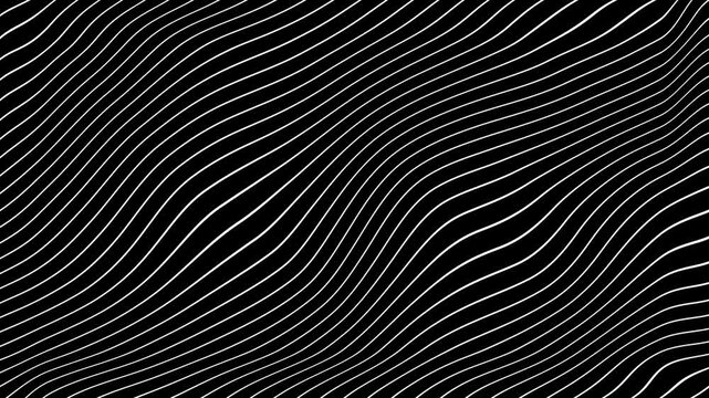 White Grey abstract curved wavy lines twist motion on black background.Visual white wavy line on black motion background.Minimal abstract thin white color wavy line moving background.