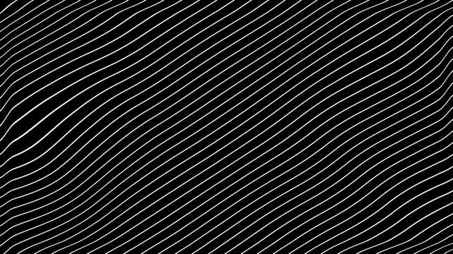 White Grey abstract curved wavy lines twist motion on black background.Visual white wavy line on black motion background.Minimal abstract thin white color wavy line moving background.
