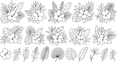 Tropical Floral Line Art Collection: Black and White Hibiscus, Monstera, and Palm Leaf Vector Illustrations for Summer Weddings, Botanical Designs, and Creative Coloring Projects © MD FARID