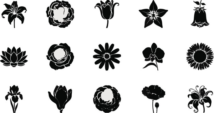 Exotic Fruit Icons And Names. 198