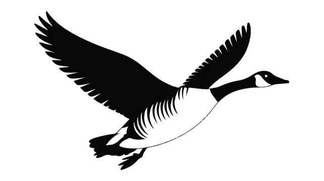 A minimalist black and white illustration of a Canada goose in flight