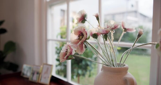 Vase, window and flowers in empty home for bloom, decoration or floral growth in living room. Present, gift and bouquet of pink poppies in pottery for natural blossom in lounge at apartment.