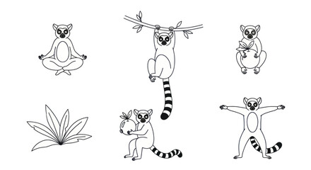 Lemur cartoon character set in various poses. © masa