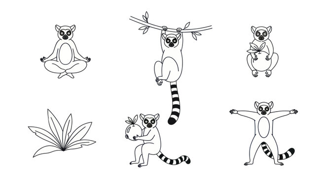 Lemur cartoon character set in various poses.